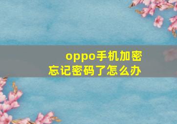 oppo手机加密忘记密码了怎么办