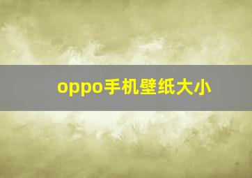 oppo手机壁纸大小