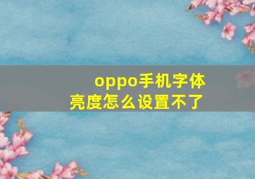 oppo手机字体亮度怎么设置不了