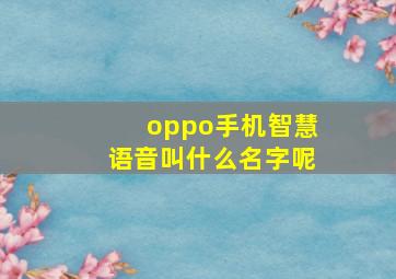 oppo手机智慧语音叫什么名字呢