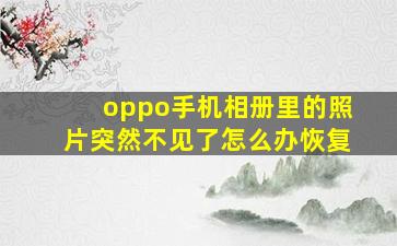 oppo手机相册里的照片突然不见了怎么办恢复