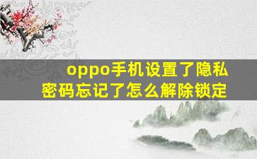 oppo手机设置了隐私密码忘记了怎么解除锁定