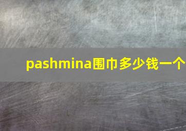 pashmina围巾多少钱一个