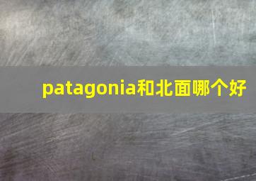 patagonia和北面哪个好