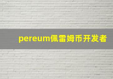 pereum佩雷姆币开发者