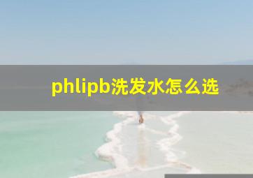 phlipb洗发水怎么选