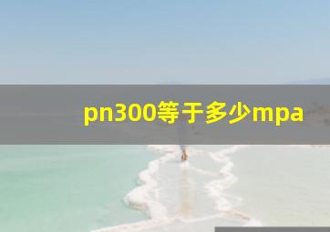 pn300等于多少mpa