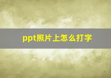 ppt照片上怎么打字