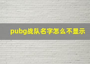 pubg战队名字怎么不显示