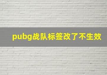 pubg战队标签改了不生效