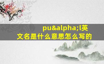 puαl英文名是什么意思怎么写的