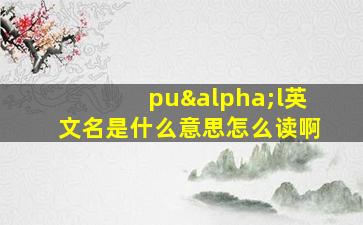 puαl英文名是什么意思怎么读啊