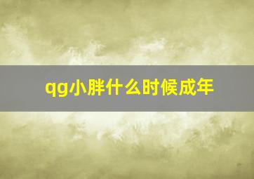 qg小胖什么时候成年