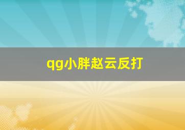 qg小胖赵云反打