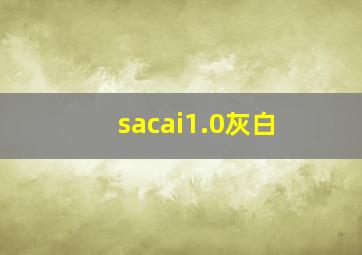 sacai1.0灰白