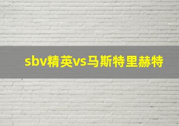 sbv精英vs马斯特里赫特