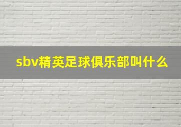 sbv精英足球俱乐部叫什么