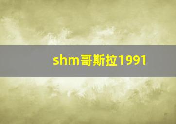 shm哥斯拉1991