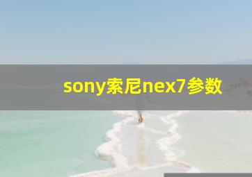 sony索尼nex7参数