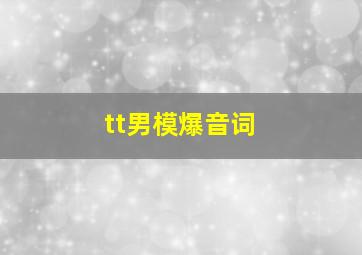 tt男模爆音词