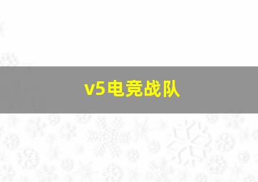 v5电竞战队