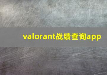 valorant战绩查询app