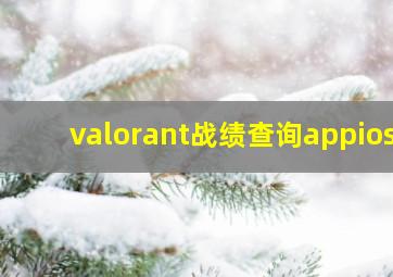 valorant战绩查询appios