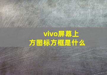 vivo屏幕上方图标方框是什么