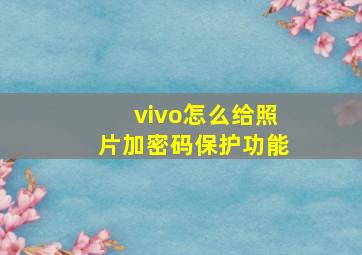 vivo怎么给照片加密码保护功能