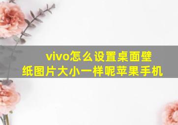 vivo怎么设置桌面壁纸图片大小一样呢苹果手机