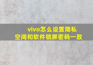 vivo怎么设置隐私空间和软件锁屏密码一致