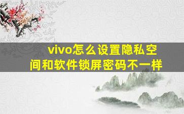 vivo怎么设置隐私空间和软件锁屏密码不一样