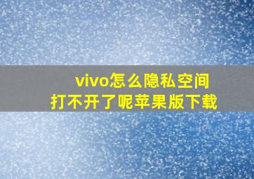 vivo怎么隐私空间打不开了呢苹果版下载