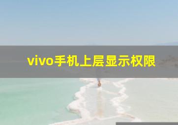 vivo手机上层显示权限