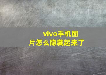 vivo手机图片怎么隐藏起来了