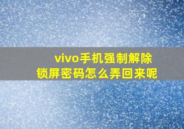 vivo手机强制解除锁屏密码怎么弄回来呢