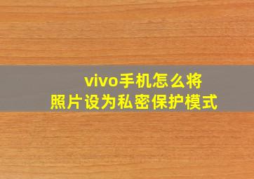 vivo手机怎么将照片设为私密保护模式