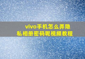 vivo手机怎么弄隐私相册密码呢视频教程