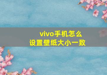 vivo手机怎么设置壁纸大小一致