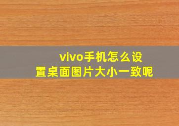 vivo手机怎么设置桌面图片大小一致呢