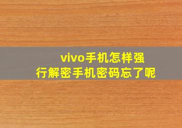 vivo手机怎样强行解密手机密码忘了呢