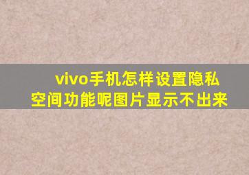 vivo手机怎样设置隐私空间功能呢图片显示不出来