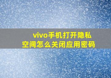 vivo手机打开隐私空间怎么关闭应用密码