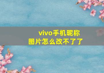 vivo手机昵称图片怎么改不了了