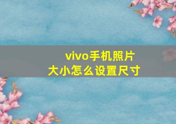 vivo手机照片大小怎么设置尺寸