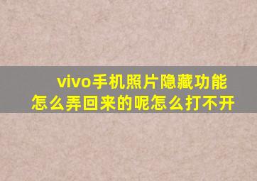 vivo手机照片隐藏功能怎么弄回来的呢怎么打不开