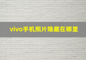 vivo手机照片隐藏在哪里