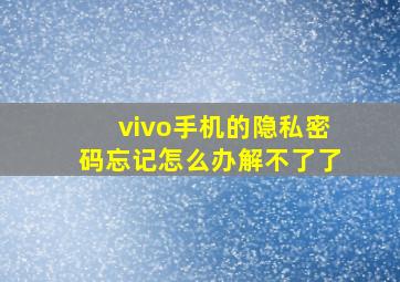 vivo手机的隐私密码忘记怎么办解不了了