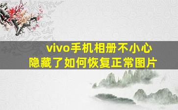 vivo手机相册不小心隐藏了如何恢复正常图片