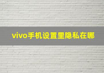 vivo手机设置里隐私在哪